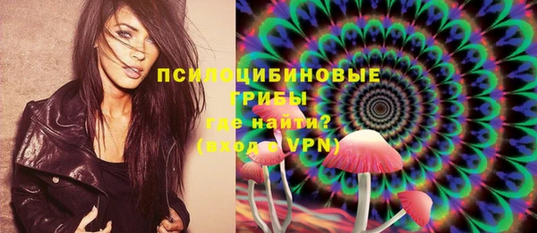мяу мяу мука Абаза